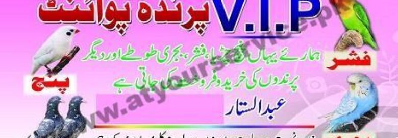 VIP Birds Point – Juma Baloch Road, New Kalri, Lyari, Karachi