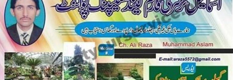 Ismail Nursery Farm & Landscaping Point – Gehlan Phatak, Multan Road, Pattoki