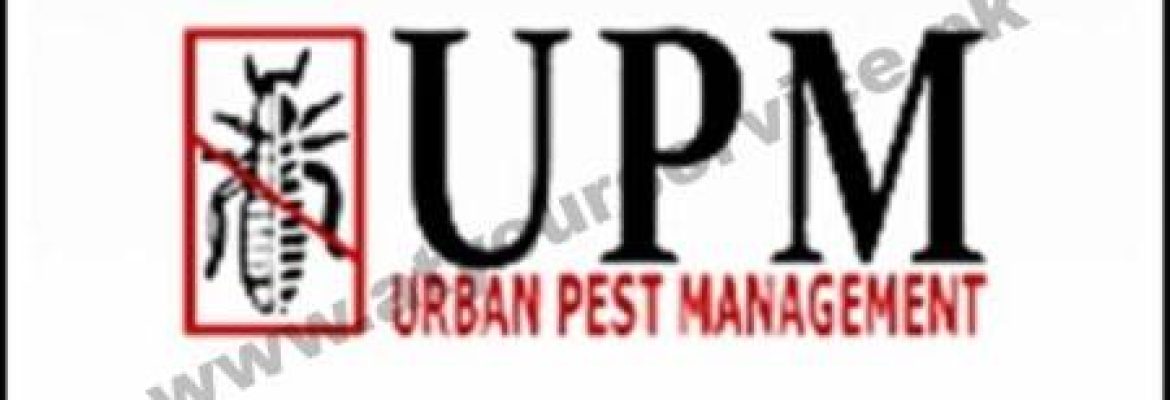 Urban Pest Management – Bajwa Building, Johar Town, Lahore