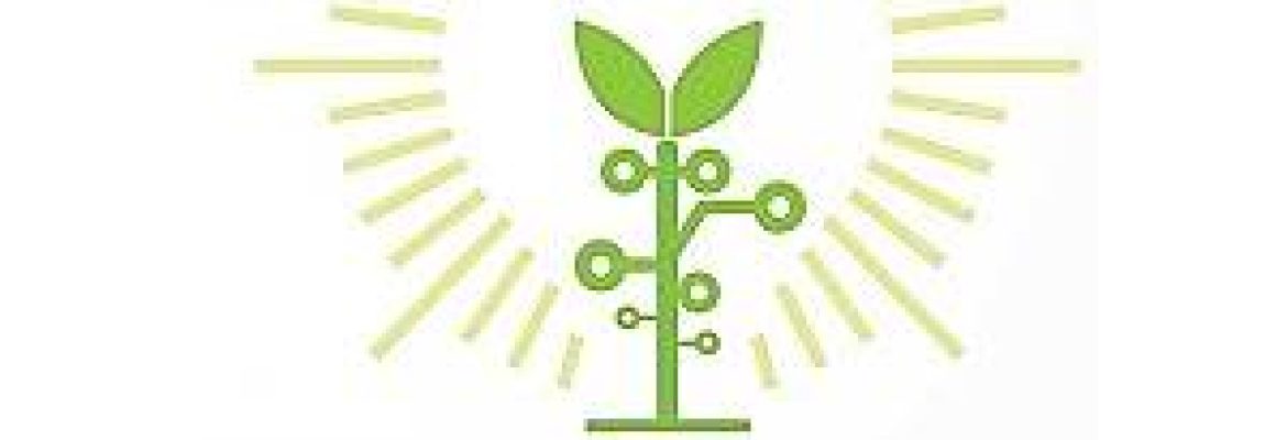 TRC Lighting – Malik Waheed Electric Market, Shah Alam Market, Lahore