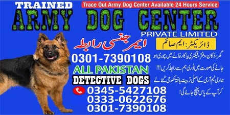 Army Dog Center Contact Number okara