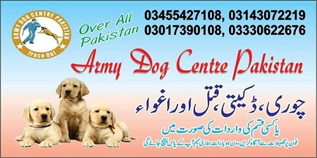 Army Dog Centre