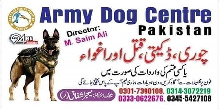 Army Dog Centre