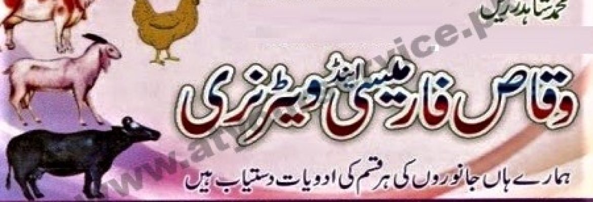 Waqas Pharmacy & Veterinary – Androon Shehr (Inner City), Multan Road, Habibabad, Pattoki