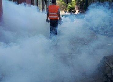 Scout Pest Control – F8, Islamabad