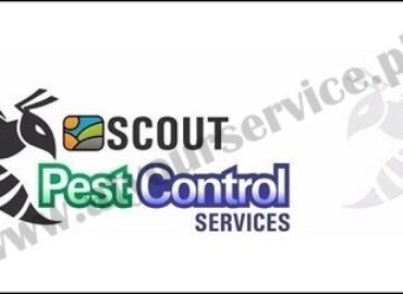 Scout Pest Control – F8, Islamabad