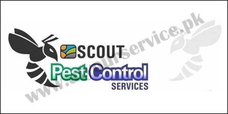 Scout Pest Control – F8, Islamabad