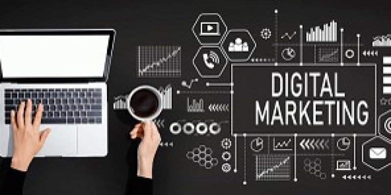 Creative Sprout Media | Web Design & Digital Marketing Company
