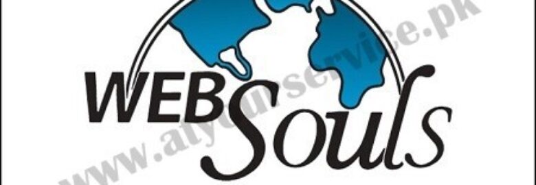 WebSouls | Web Hosting Company