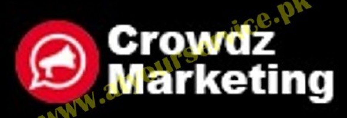 Crowdz Marketing