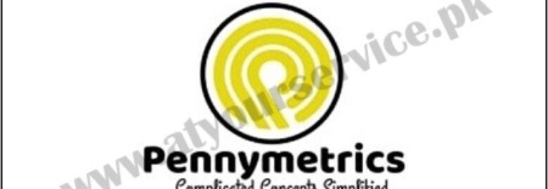 Pennymetrics.com | A Blog Website