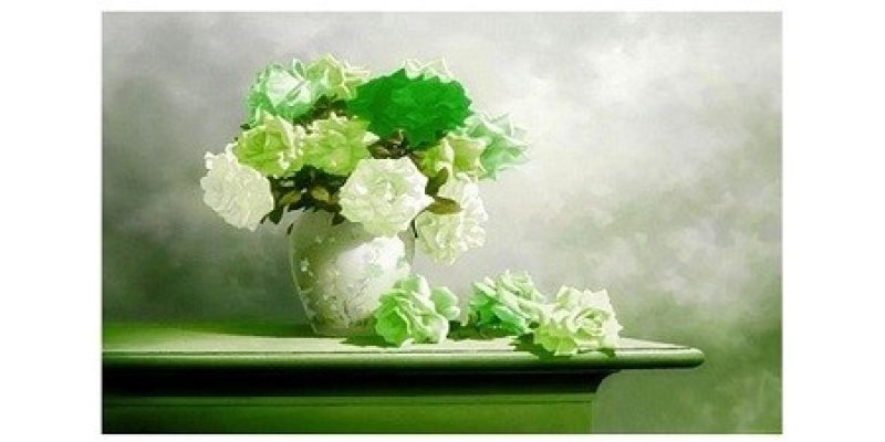 Real Flowers Pakistan | Online Fresh Flower Delivery in Pakistan