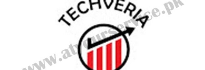 Techveria | IT Services