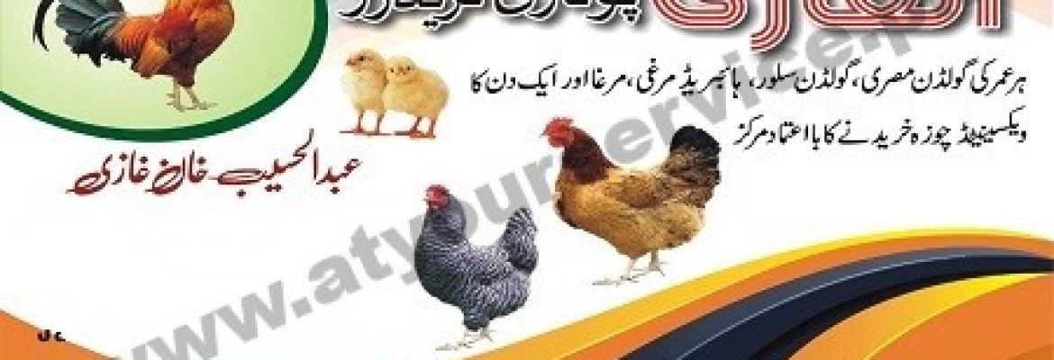 Al Ghazi Poultry Traders – Dalazak Road, Pakha Ghulam, Peshawar