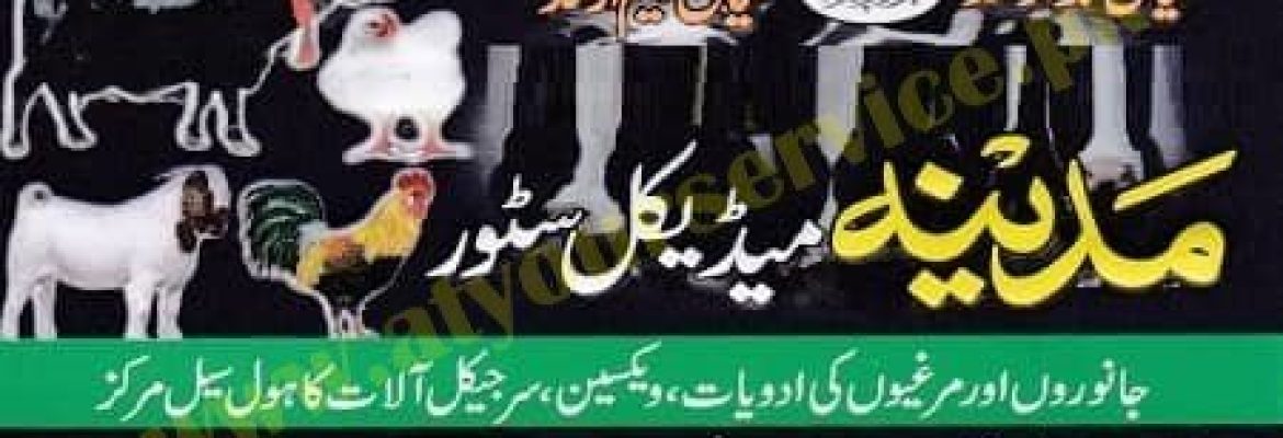 Madina Medical Store – Chiniot Bazar, Faisalabad