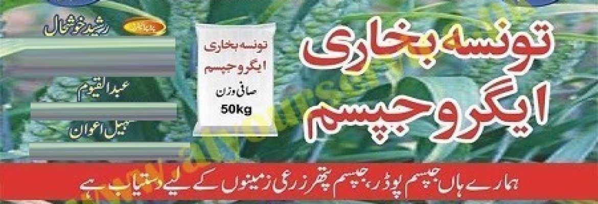 Taunsa Bukhari Agro Gypsum