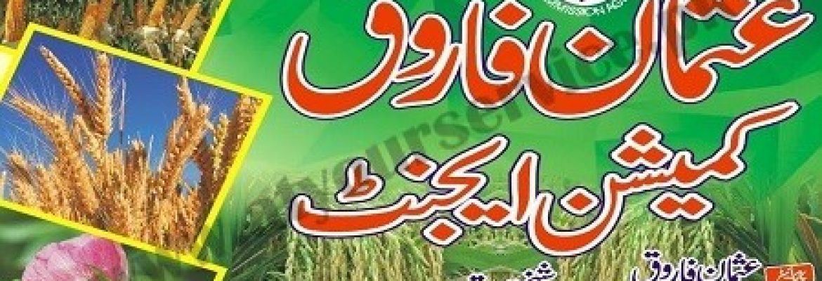 Usman Farooq Commission Agent – Ghallah Mandi, Khanewal