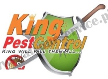 King Pest Control | Termite Control Services in Lahore