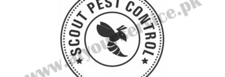 Scout Pest Control – Pest Control Services Islamabad