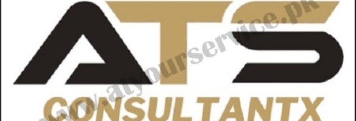 ATS Consultantx – E Filing Tax Portal