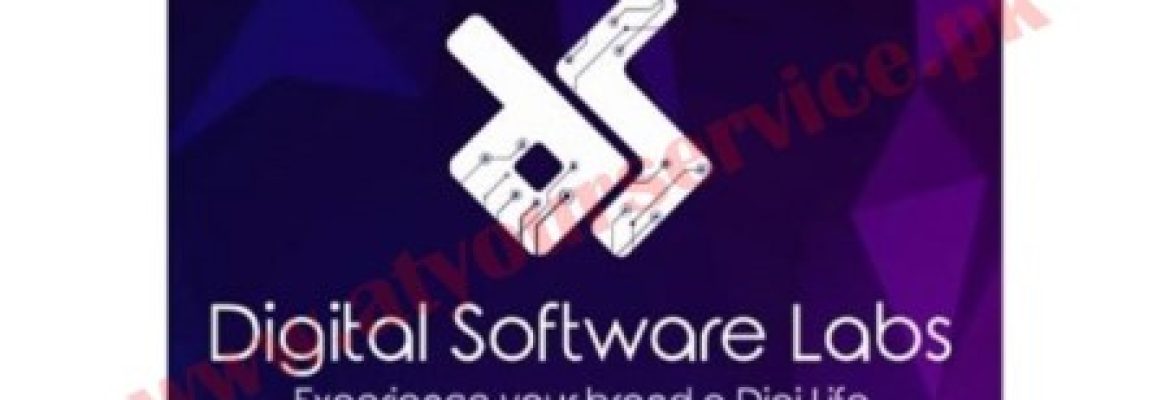 Digital Software Labs
