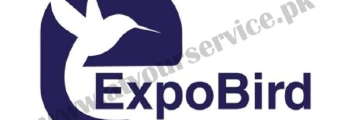 ExpoBird – Digital Marketing Agency