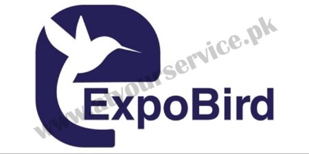 ExpoBird – Digital Marketing Agency - Pakistan Business Listings