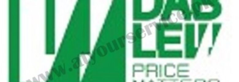 Dab Lew Tech – Online Electronics Shopping Store in Pakistan