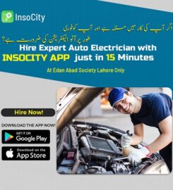 InsoCity – Food Delivery & Home Maintenance Services