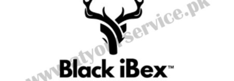 Black iBex – Digital Marketing – Software House