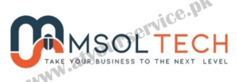 IT Services Company in Faisalabad – MSolTech