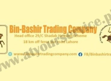 Bin Bashir Trading Company