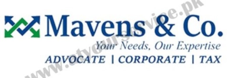 Mavens & Co.