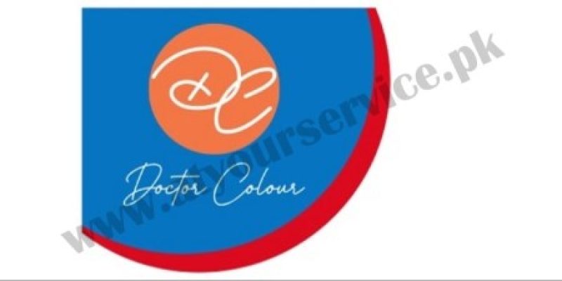 Doctor Colour Nippon Paint Franchise
