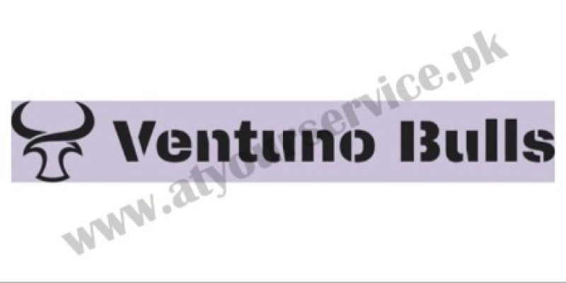 Ventuno Bulls