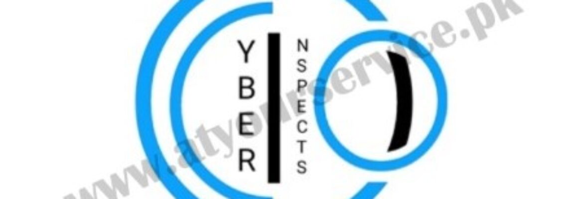 Cyber Inspects