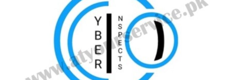 Cyber Inspects