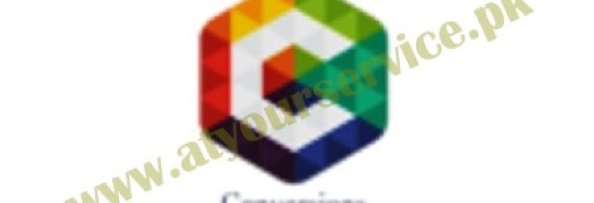 Conversions.pk – Digital Marketing Companies in Karachi Pakistan