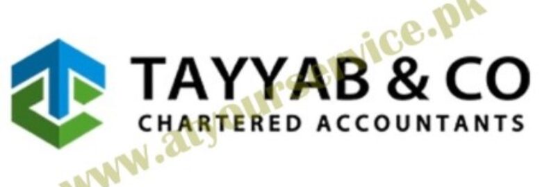 Income Tax Consultant | Tayyab & Co.