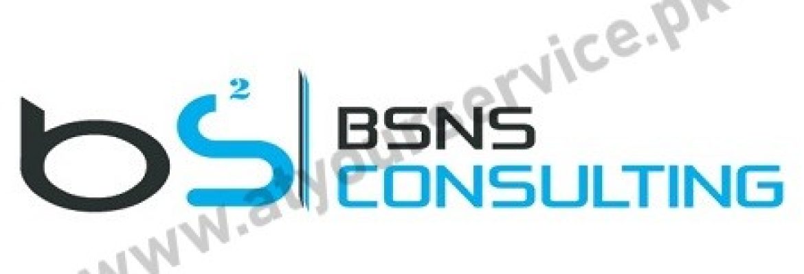 BSNS Consulting