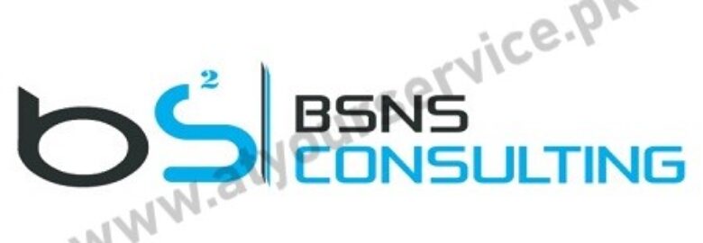 BSNS Consulting