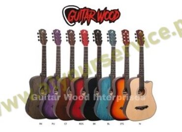 Guitar Wood Brand Store | Musical Instruments Store In Lahore