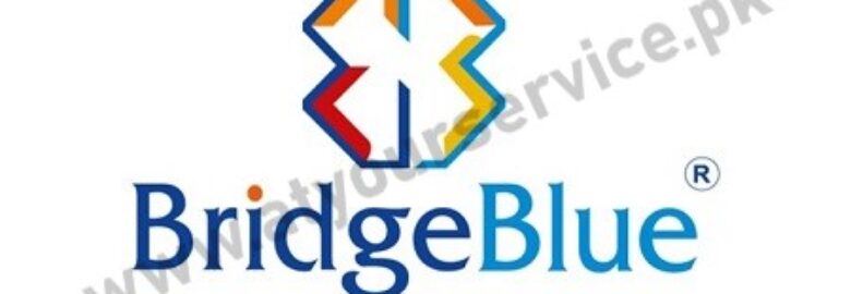 BridgeBlue Global Lahore