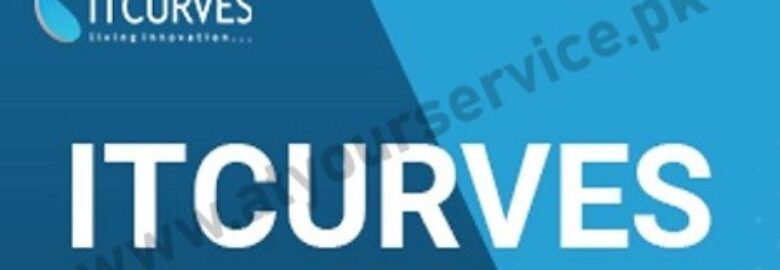 ITCurves – IT Company in Florida USA