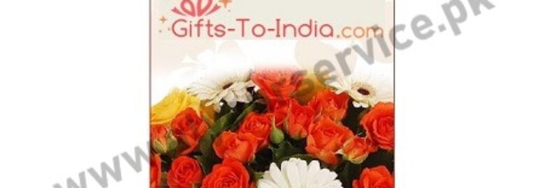 Gifts to India