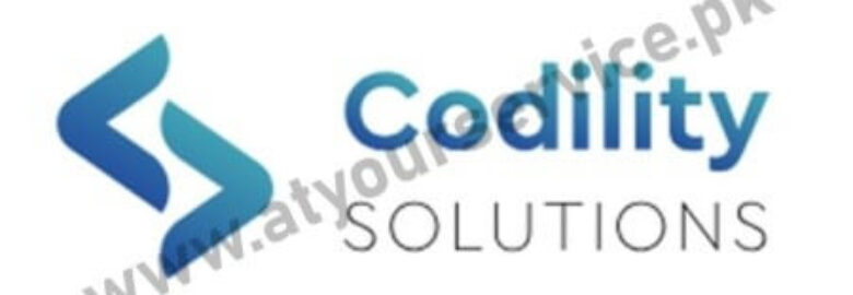 Codility Solutions