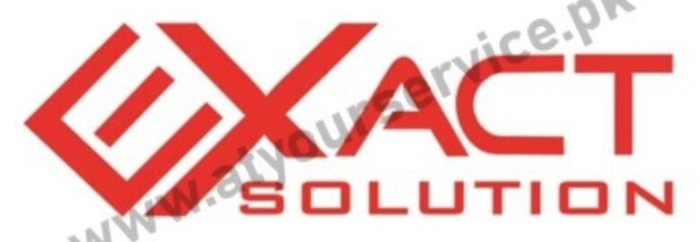 Exact Solution