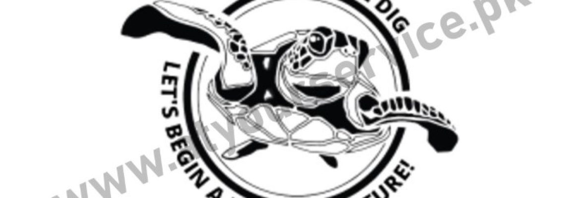 Turtle Dig – IT Training Courses in Lahore