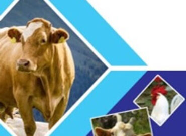 Izfaar Pharmaceuticals: Veterinary and Poultry Medicines Manufacturer