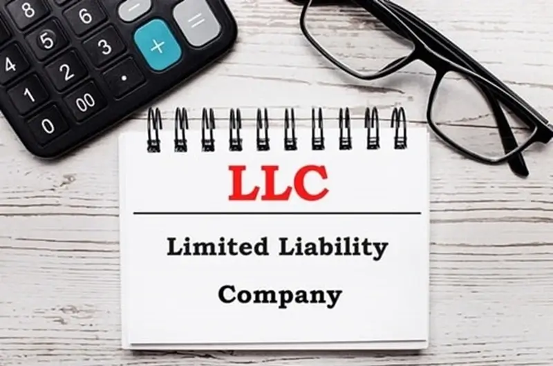 LLCs in the USA